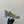 HM Bouncing sneaker Asparagus Green Fabric with Suede 212278