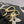 madeleine 30 black white grained embossed calfskin