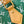 SPEEDY P9 BANDOULIÈRE 25 IN GREEN MONOGRAM CANVAS GOLD HARDWARE