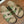 HM Kazimir Sandal Green mix Etoupe Canvas Calfskin 293993