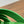 HM Kazimir Sandal Green Suede Calfskin 293990