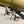 SL TRIANGLE HEELED SLINGBACKS BISQUE CALFSKIN