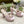 Horsebit 11cm Platform Sandal Pink Calfskin