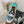 CC Sneaker In Turquoise Mix Brown Suede