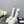 DAD SANDAL WHITE LAMBSKIN