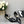 CAMELLIA CAP JANE SANDALS IN BLACK LAMBSKI