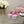CC 25C Mid Heel Mule Pink Fabric Material 212962