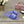 CC 25C Slippers Purple Fabric Material 212966