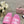 CC 25C Slippers Pink Fabric Material 212967