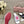 CC 25C Slippers White Fabric Material 212968