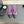 slingbacks 95 violet calfskin black grosgrain