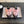 BIG BOW FLAT MULE SANDALS IN BLACK MIX PALE PINK SILK