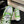 BIG-HEAD COOKIE SHOES IN EMERALD GREEN LAMBSKIN