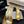 T-STRAP PEARL HEEL 85 MM SANDALS IN GOLD LAMBSKIN MULE