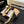 CC 25P Ballet Flat Black Beige Raffia Large Logo