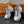 PRA RUNNING SHOES BLADE IN SILVER BREATHABLE MESH