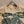 Burberry Men Knight Oversized T-Shirt Green Beige Cotton