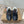 Miu x Balance Sneakers Black Cowhide