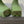 GREEN SCULPTED RUBBER BOOTS WITH GOLD MONOGRAM