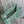 medium dioriviera book tote 36 aquamarina tiger embroidery canvas