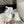 GGDB Marathon Sneakers White Mesh 980473