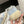 Golden Goose 2025 Space-Star Sabot Sneaker Blue Beige Suede Wool 141172