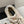 Golden Goose 2025 Space-Star Sabot Sneaker Pink Beige Suede Wool 141169