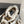 Golden Goose 2025 Space-Star Sabot Sneaker Leopard Beige Wool 141173