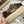 Golden Goose 2025 Space-Star Sabot Sneaker Leopard Beige Wool 141173