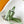 Capucines BB 21cm Bag Green Cowhide 251666