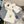 SET SCARF AND HAT IN WHITE WOOL AND FOX FUR 414791
