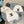 SET CLASSIC SCARF AND HAT IN WHITE WOOL 414786