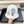BUCKET HAT IN WHITE RABBIT FUR 421262