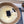 BUCKET HAT IN CREAM BEIGE RABBIT FUR 426225