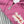 CC 2025 Hooded Jacket Pink Wool 325887