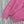 CC 2025 Hooded Jacket Pink Wool 325887