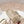 Pra Interwoven Straps Sandals 30 Beige