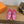 HM 2026 Oz Mule Hot Pink Alligator Leather 849272