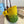 LOE SMALL ANAGRAM BASKET 28 BAG IN YELLOW MIX GREEN IRACA PALM AND CALFSKIN
