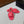 CC 26s Padded Sandals Red Lambskin 887950