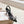 CL Astrinodo Leather And Pvc Pumps 85mm Black Leather 167643