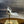 RC 25C Flower-Studded Diamond High-Heeled Sandals White Sheepskin 174905