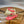 RC 25C Thong Flat-Bottom Diamond Red Silk Creo Crystal 281980
