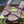RC 25C Snake-Shaped Sandals 9.5cm Purple Sheepskin 310628