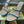 RC 25C Snake-Shaped Sandals 9.5cm Blue Sheepskin 310630