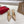 CL 25 Slingback Beige Gloss Calf Patent Leather 307522