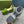 GG HORSEBIT FLATFORM SANDAL GREEN CALFSKIN