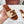 Celine 25C Slippers Beige mix Coffee Fabric with Calfskin 238149