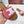 Celine 25C Slippers Red mix White Fabric with Calfskin 238167