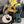 Jimmy 25 Saeda 85mm Sandals Black Suede 240083